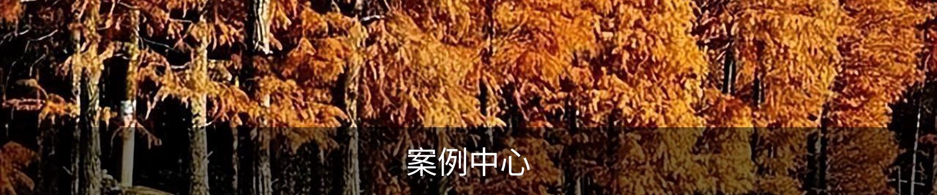 案例中心